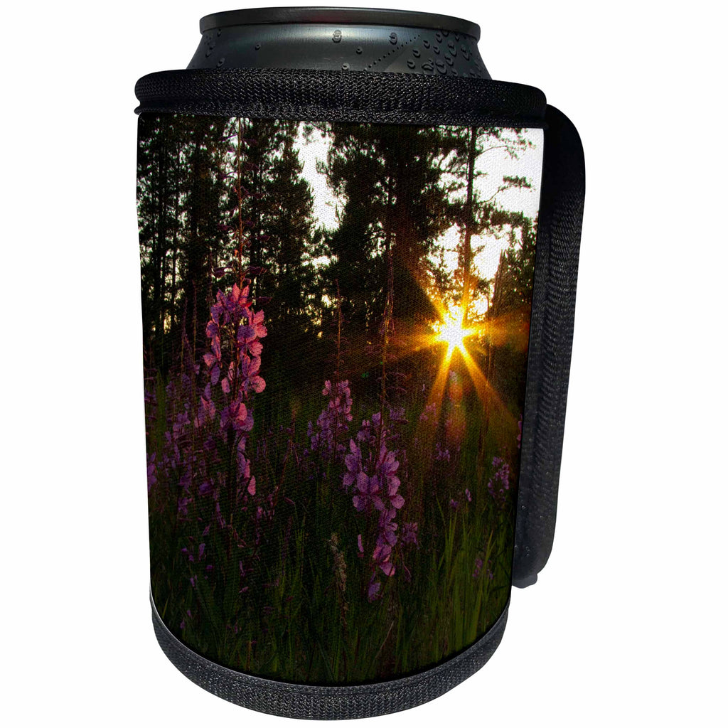 3dRose Krista Funk Creations Fireweed - Fireweed Flowers Lit up by the Yukon Sunset - Can Cooler Bottle Wrap (cc_27150)