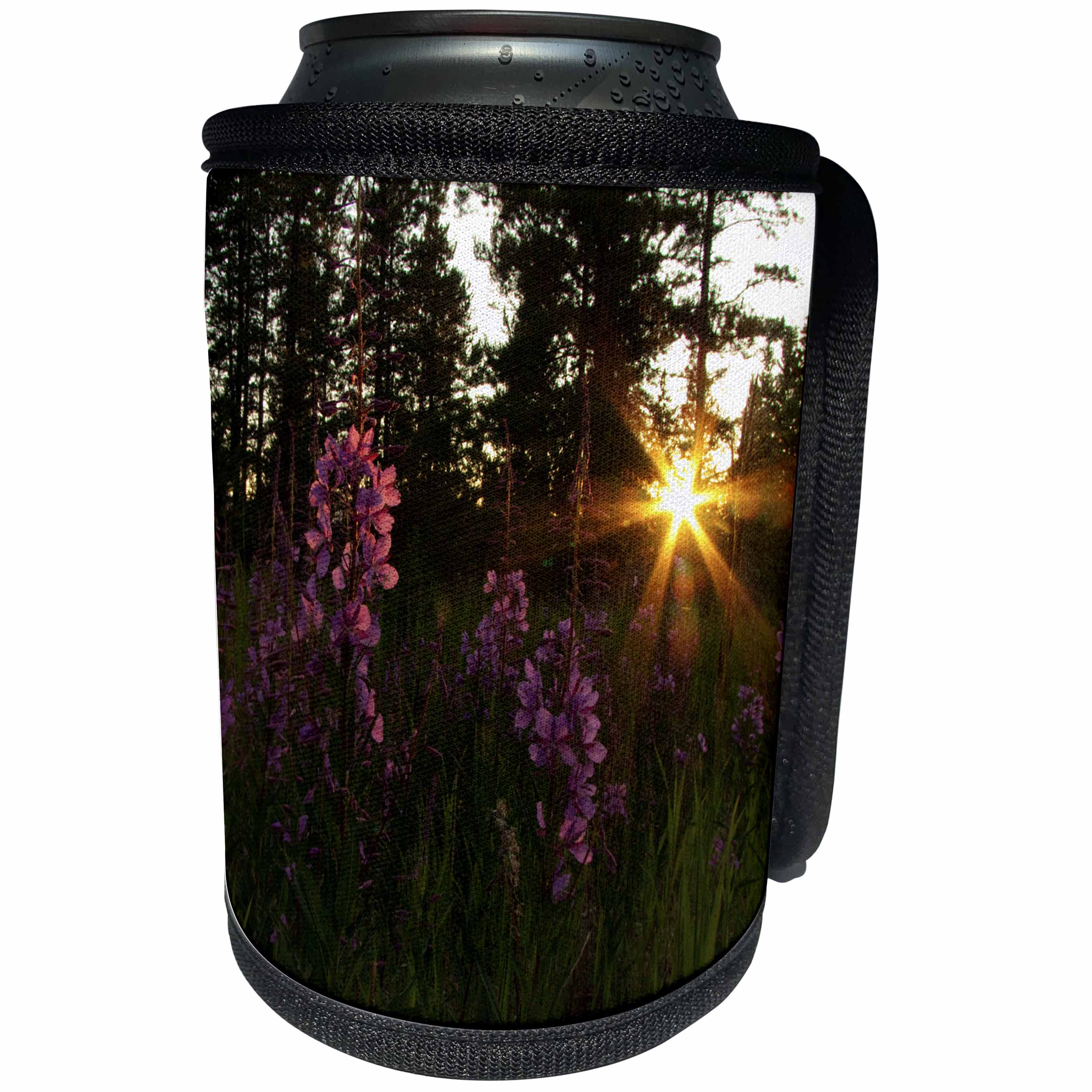 3dRose Krista Funk Creations Fireweed - Fireweed Flowers Lit up by the Yukon Sunset - Can Cooler Bottle Wrap (cc_27150)