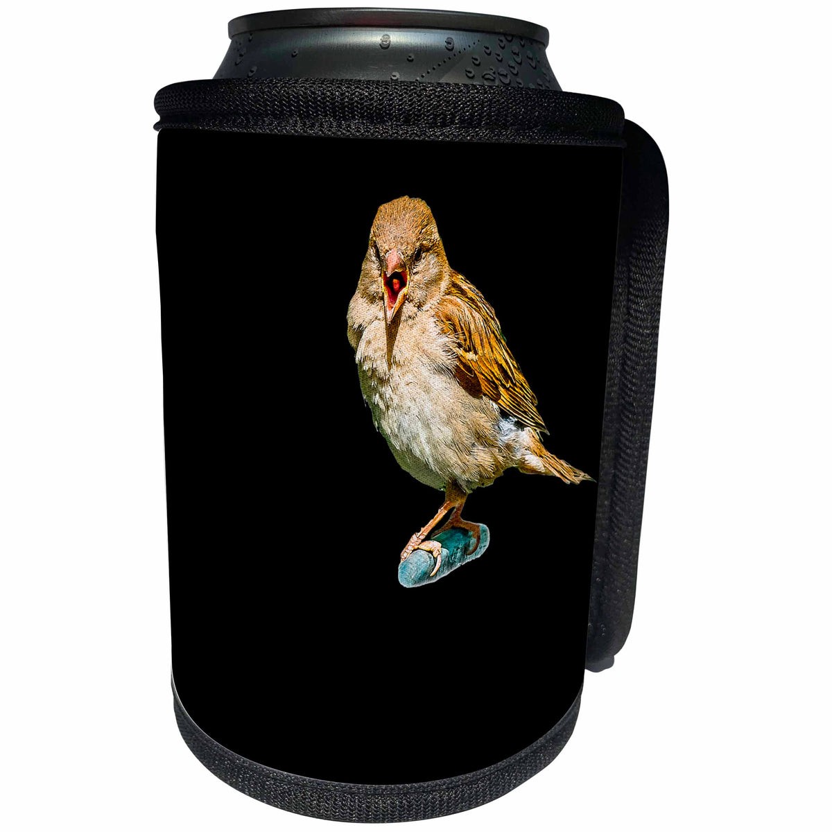3dRose Alexis Design - Funny Sparrow - Chirping sparrow on black background, free space for custom text - Can Cooler Bottle Wrap (cc_271610)