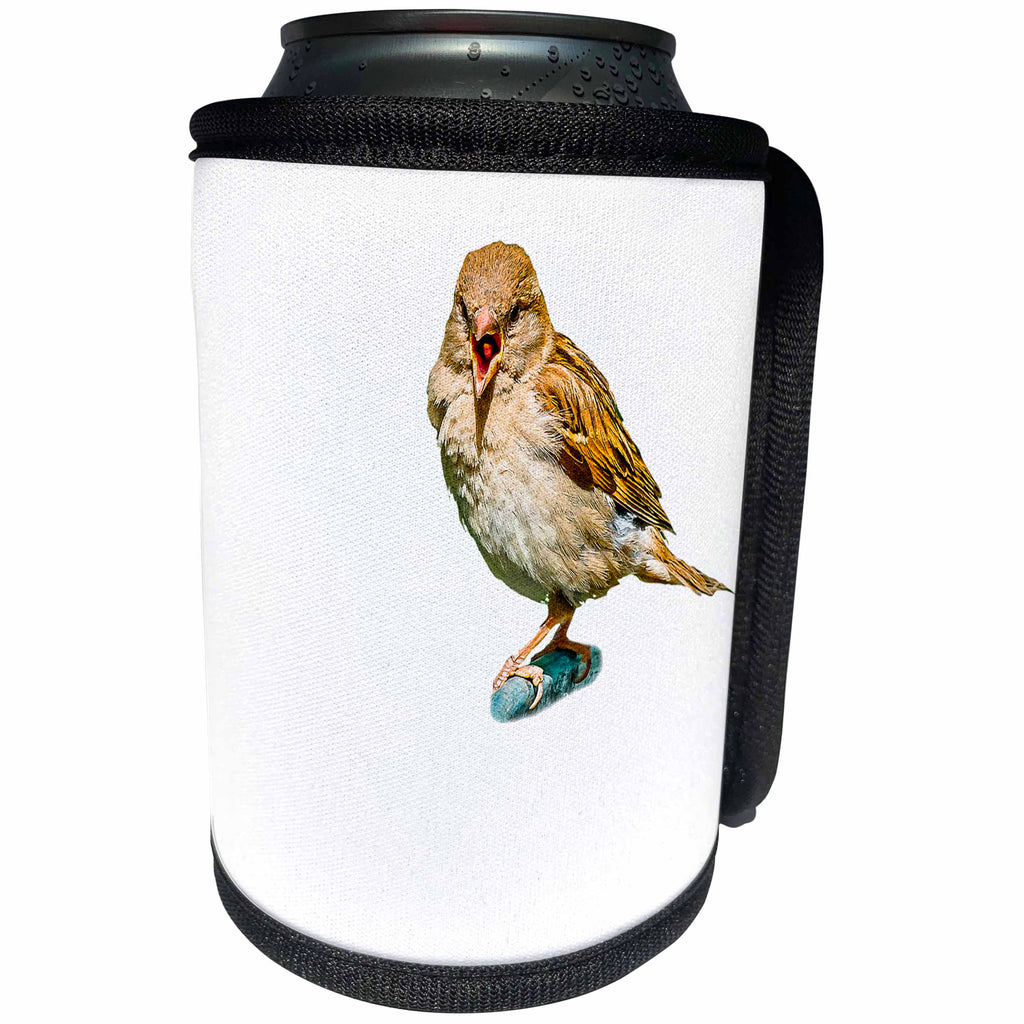3dRose Alexis Design - Funny Sparrow - Chirping sparrow on white background, free space for custom text - Can Cooler Bottle Wrap (cc_271611)