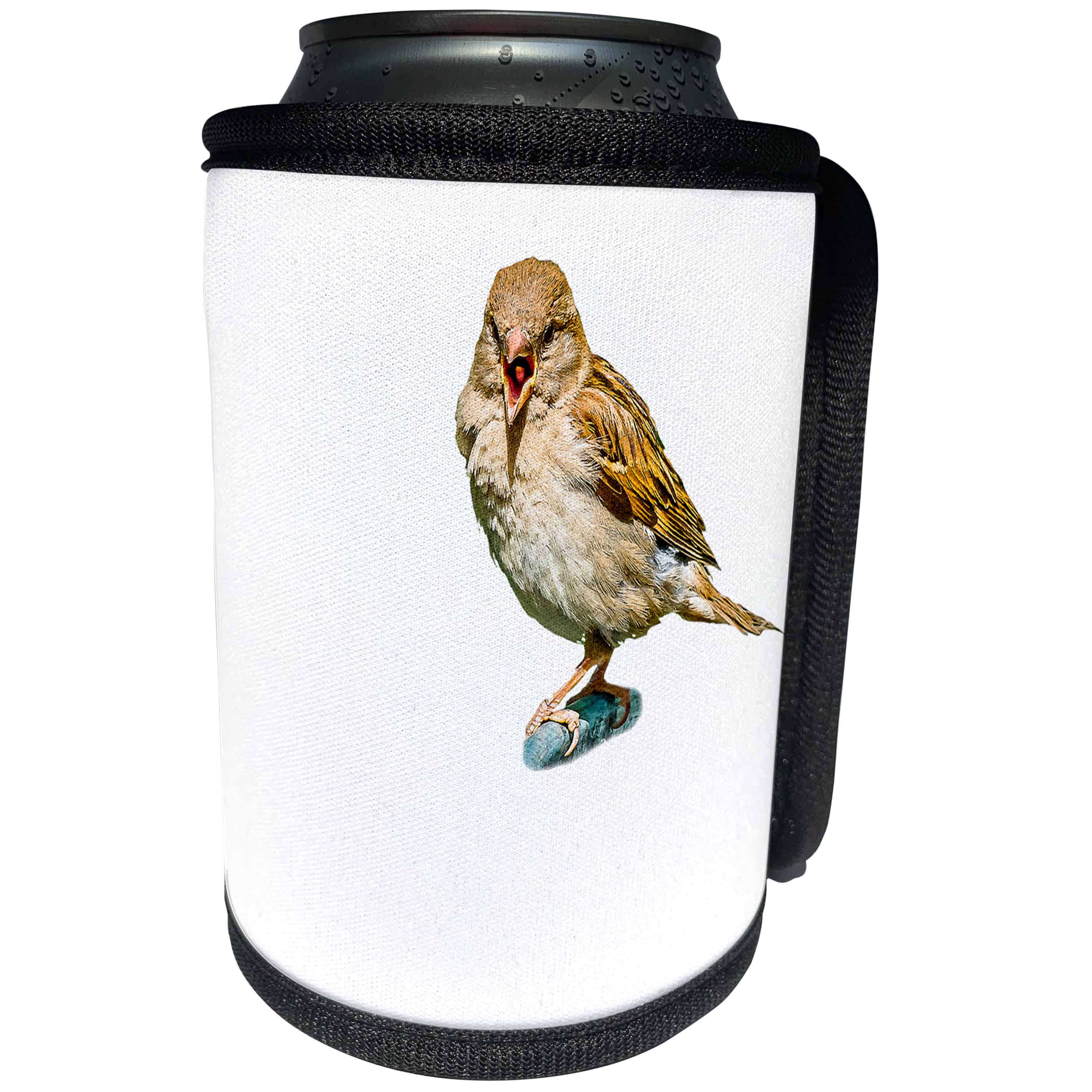 3dRose Alexis Design - Funny Sparrow - Chirping sparrow on white background, free space for custom text - Can Cooler Bottle Wrap (cc_271611)