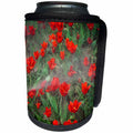 3dRose Alexis Photography - Flowers Tulip - Watering of red tulip flowers - Can Cooler Bottle Wrap (cc_271639)