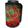 3dRose Alexis Photography - Flowers Tulip - Watering of red tulip flowers on a flowerbed - Can Cooler Bottle Wrap (cc_271640)