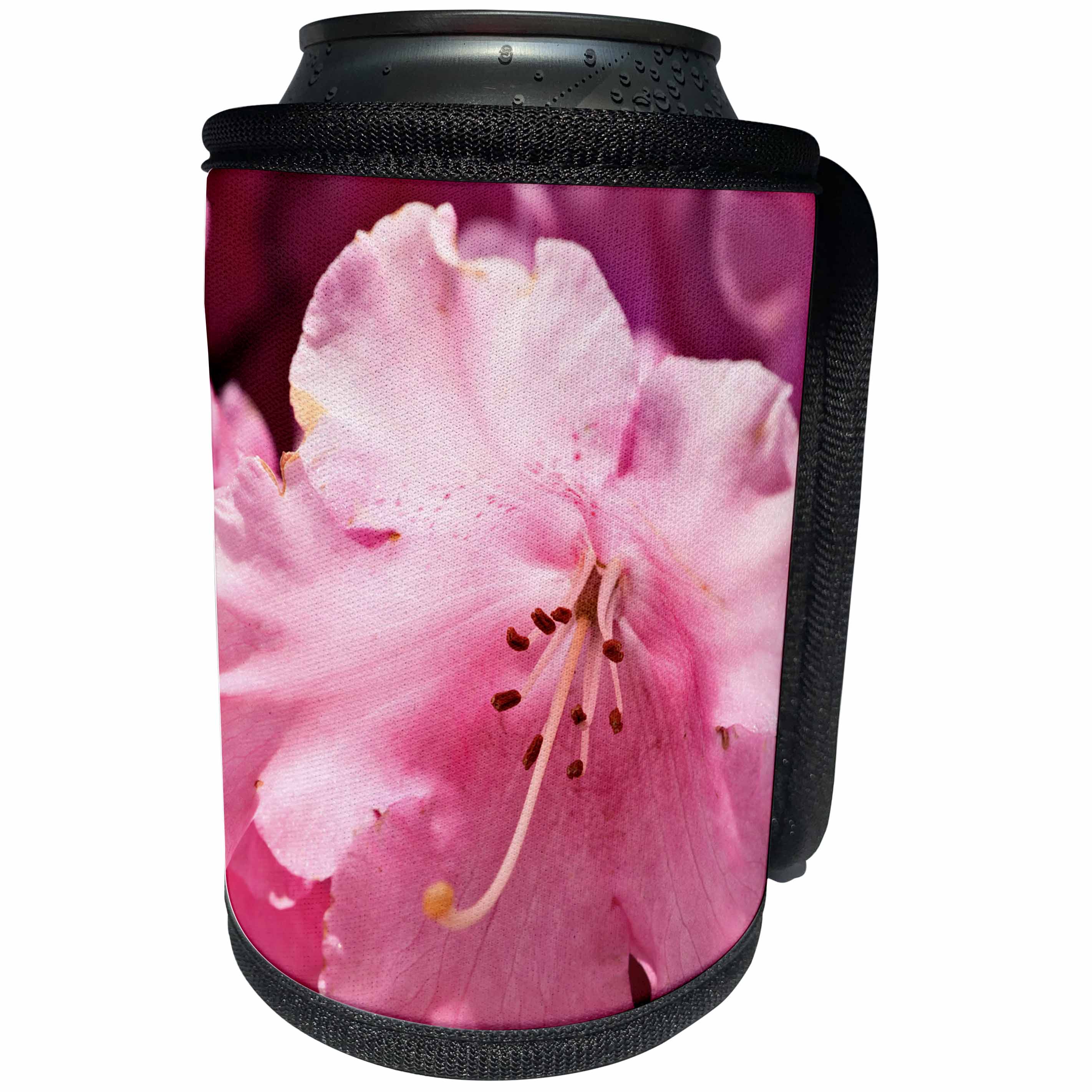 3dRose Alexis Photography - Flowers - Pink amaryllis flower, closeup view - Can Cooler Bottle Wrap (cc_271666)