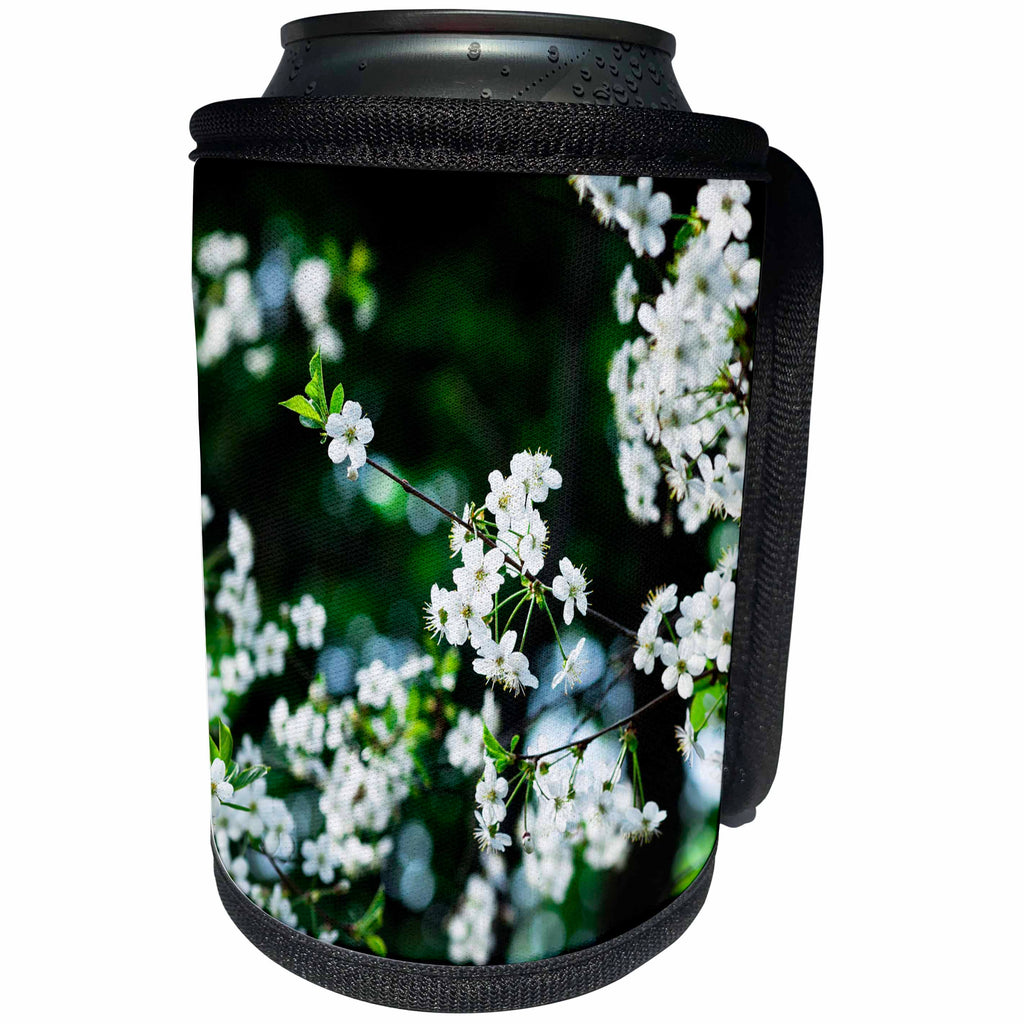 3dRose Alexis Photography - Flowers Cherry - White cherry flowers in the emerald orchard - Can Cooler Bottle Wrap (cc_271674)