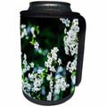 3dRose Alexis Photography - Flowers Cherry - White cherry flowers in the emerald orchard - Can Cooler Bottle Wrap (cc_271674)