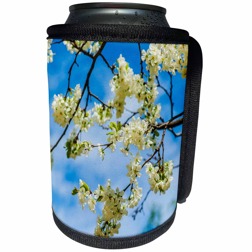 3dRose Alexis Photography - Flowers Cherry - Decorative cherry tree branches strewed with white flowers - Can Cooler Bottle Wrap (cc_271676)