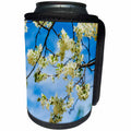 3dRose Alexis Photography - Flowers Cherry - Decorative cherry tree branches strewed with white flowers - Can Cooler Bottle Wrap (cc_271676)