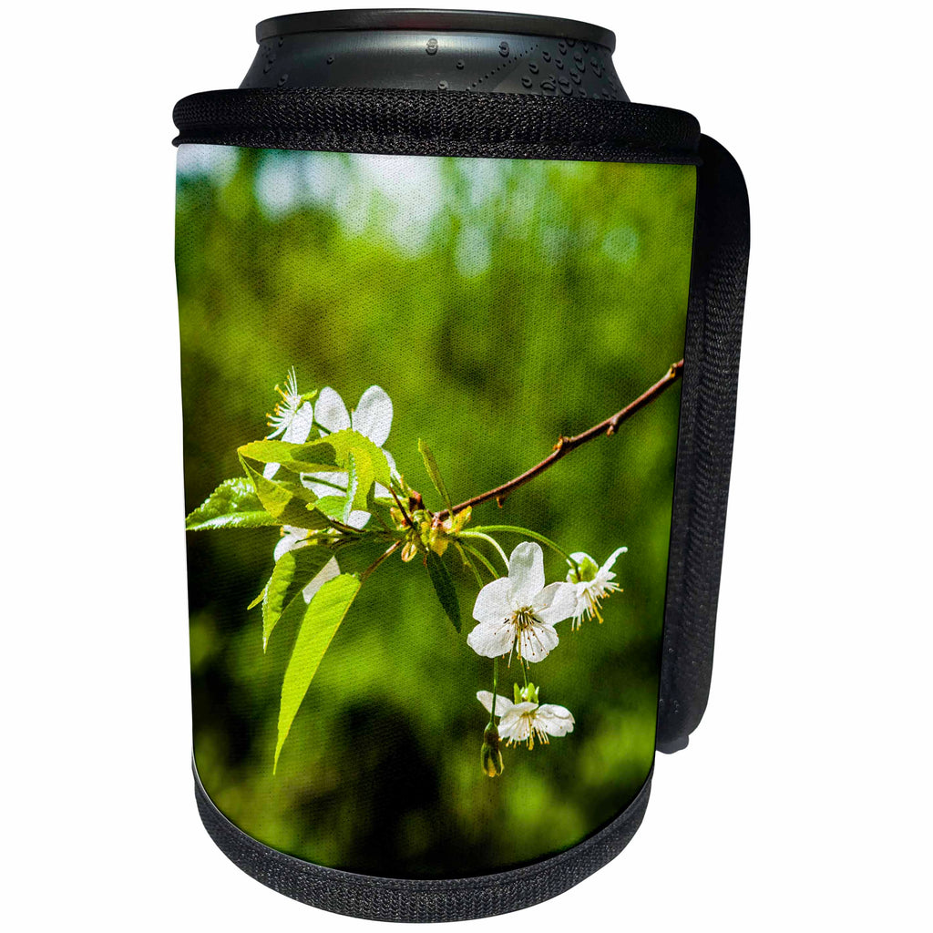 3dRose Alexis Photography - Flowers Cherry - White cherry flowers, green leaves and dark green background - Can Cooler Bottle Wrap (cc_271680)
