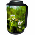 3dRose Alexis Photography - Flowers Cherry - White cherry flowers, green leaves and dark green background - Can Cooler Bottle Wrap (cc_271680)