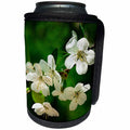 3dRose Alexis Photography - Flowers Cherry - White cherry blossoms against the emerald background. Spring beauty - Can Cooler Bottle Wrap (cc_271683)