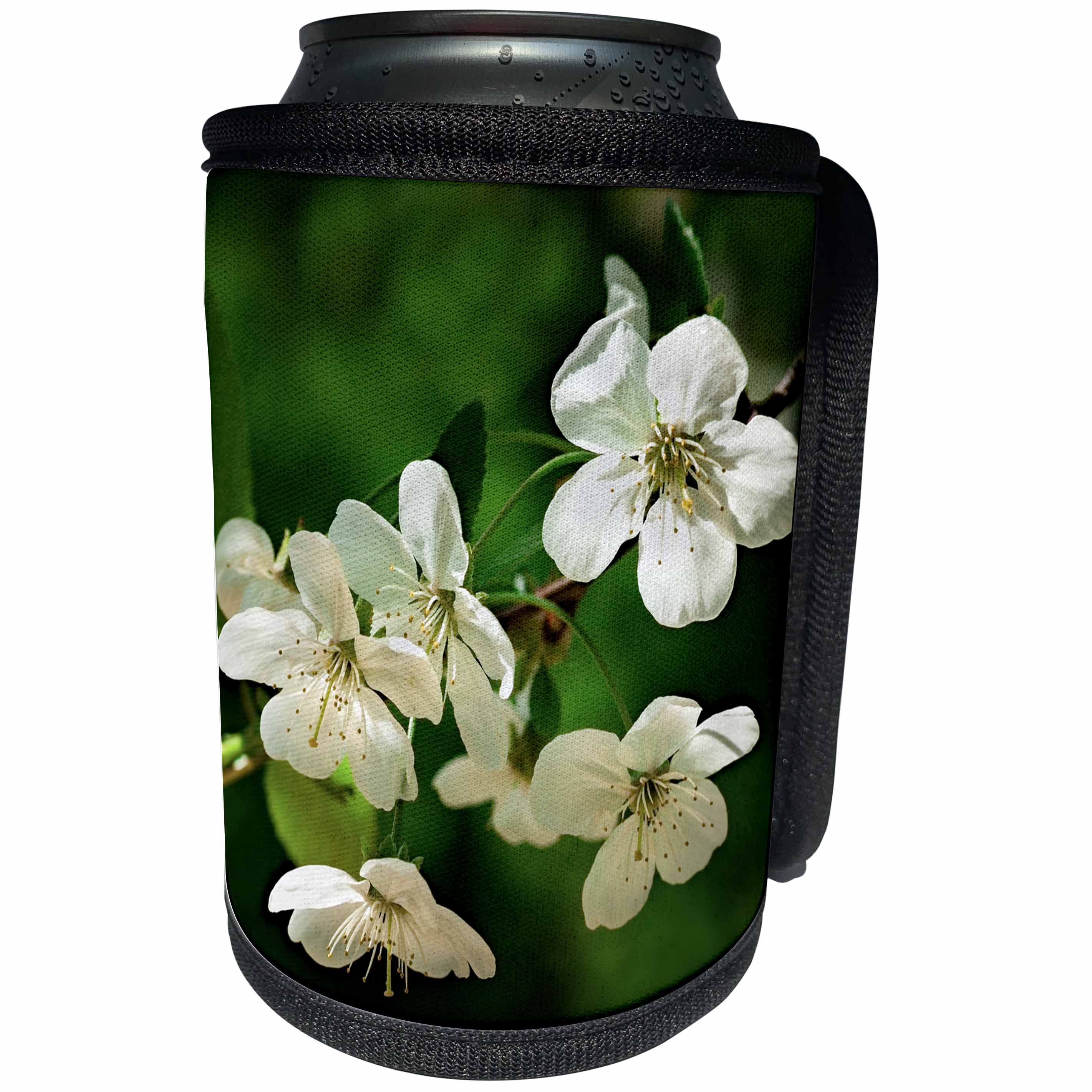 3dRose Alexis Photography - Flowers Cherry - White cherry blossoms against the emerald background. Spring beauty - Can Cooler Bottle Wrap (cc_271683)