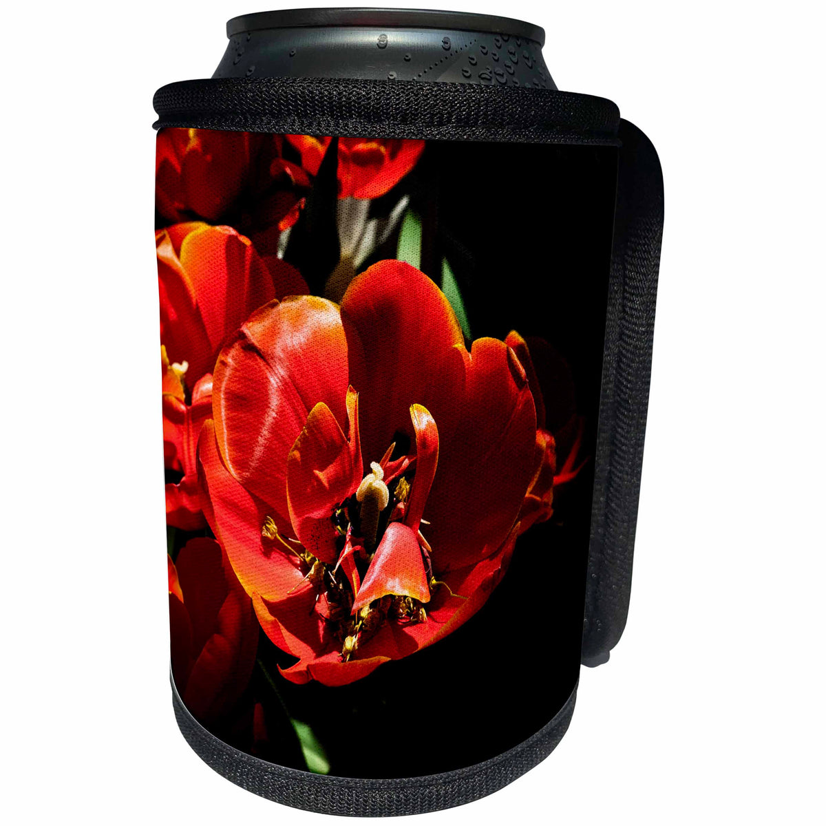 3dRose Alexis Photography - Flowers Tulip - Closeup view of a red tulip bulb full of tiny maple tree flowers - Can Cooler Bottle Wrap (cc_271826)