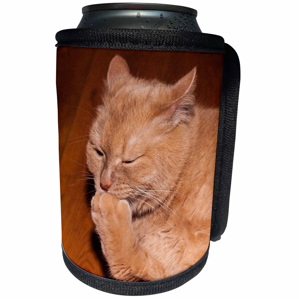 3dRose Alexis Photography - Animals - Ginger cat in a philosophical mood - Can Cooler Bottle Wrap (cc_271968)
