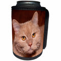 3dRose Alexis Photography - Animals - I am a cat, I mean it. Seriously looking ginger cat face - Can Cooler Bottle Wrap (cc_271969)