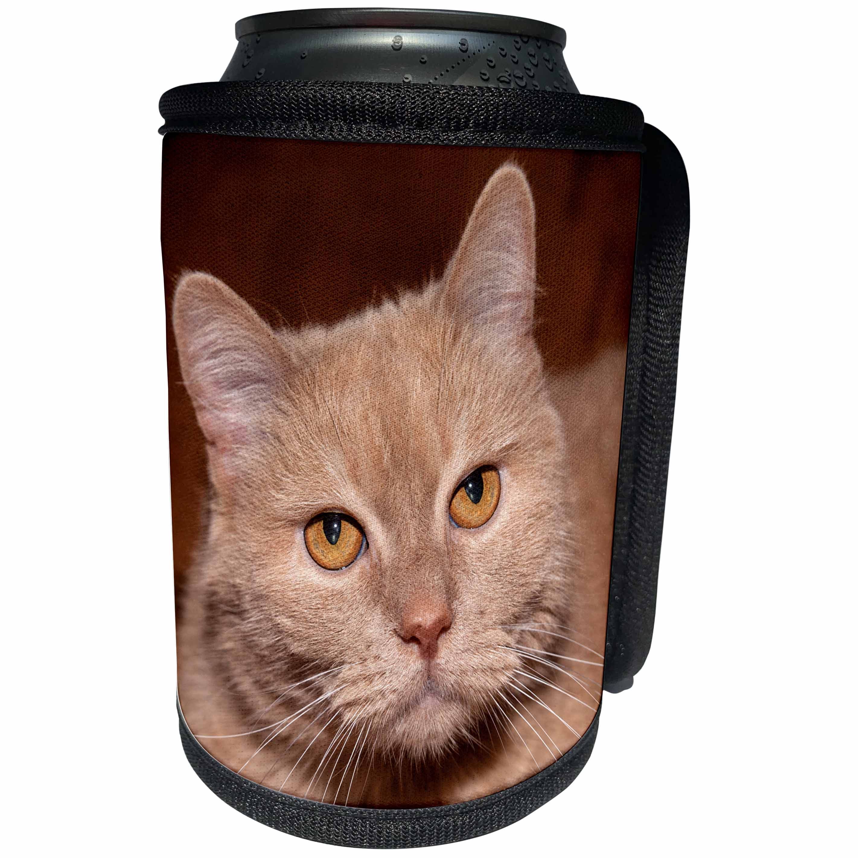 3dRose Alexis Photography - Animals - I am a cat, I mean it. Seriously looking ginger cat face - Can Cooler Bottle Wrap (cc_271969)