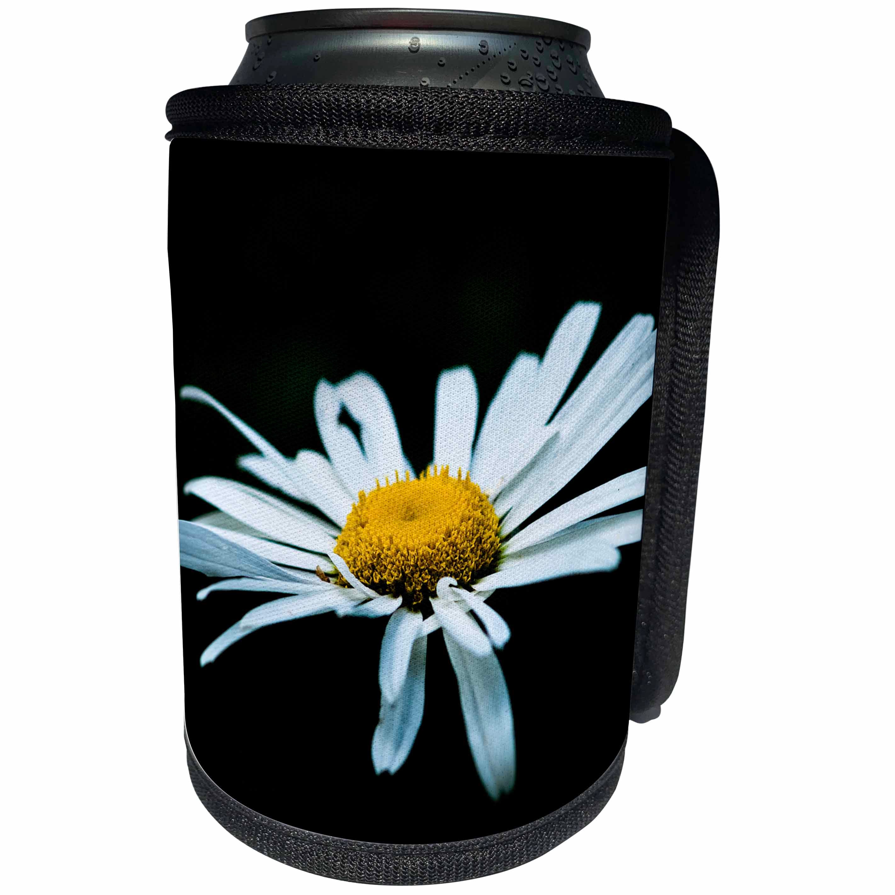 3dRose Alexis Photography - Flowers Daisy - White daisy flower against the black background - Can Cooler Bottle Wrap (cc_271973)