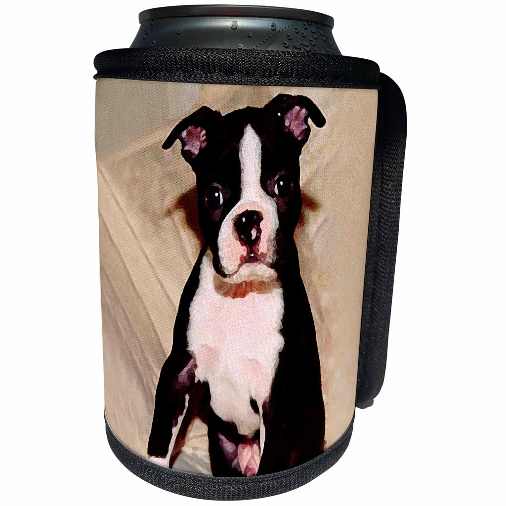 3dRose Dogs Boston Terrier - Boston Terrier - Can Cooler Bottle Wrap (cc_272)