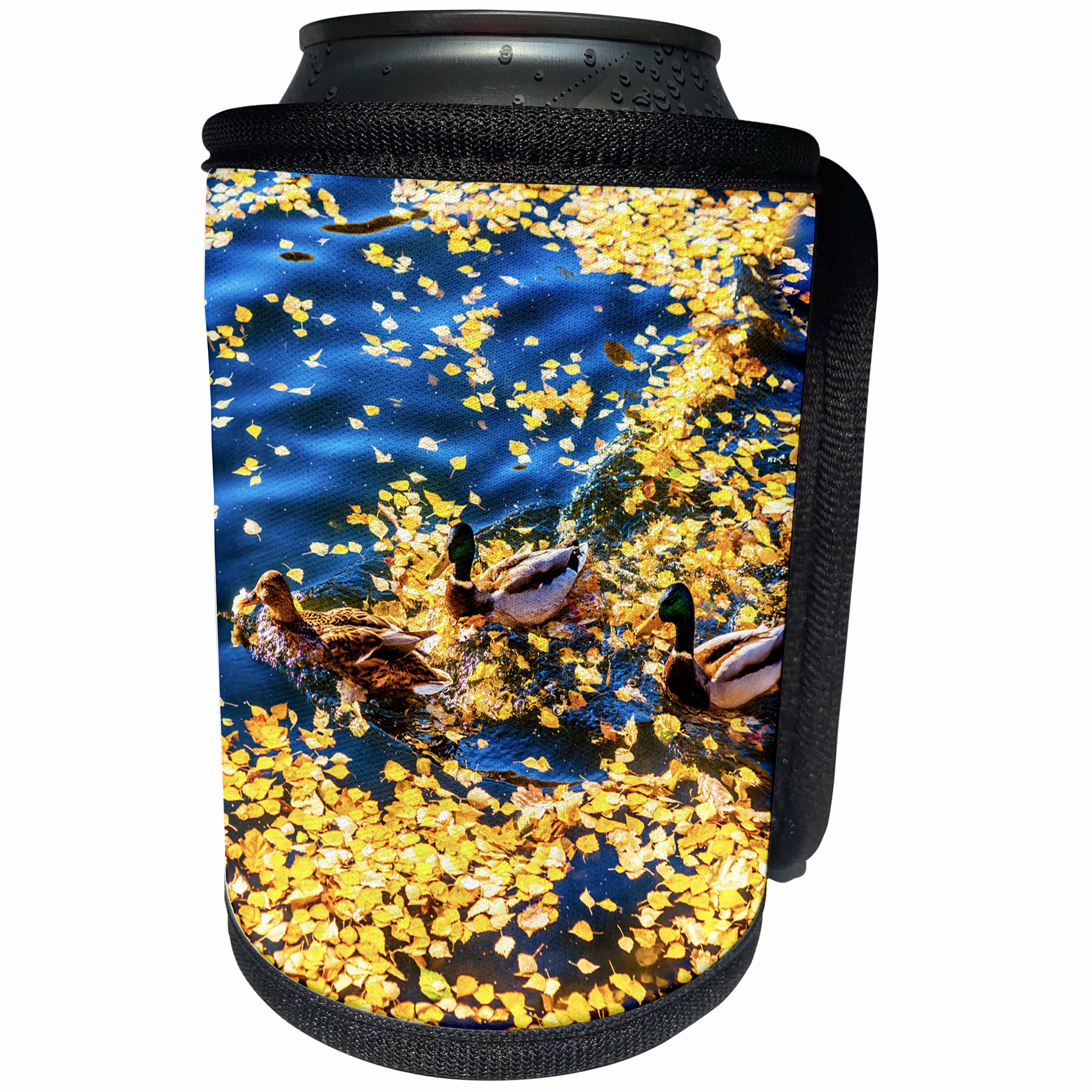 3dRose Alexis Photography - Birds - Three mallard ducks cross the clear water of a pond in golden autumn - Can Cooler Bottle Wrap (cc_272125)