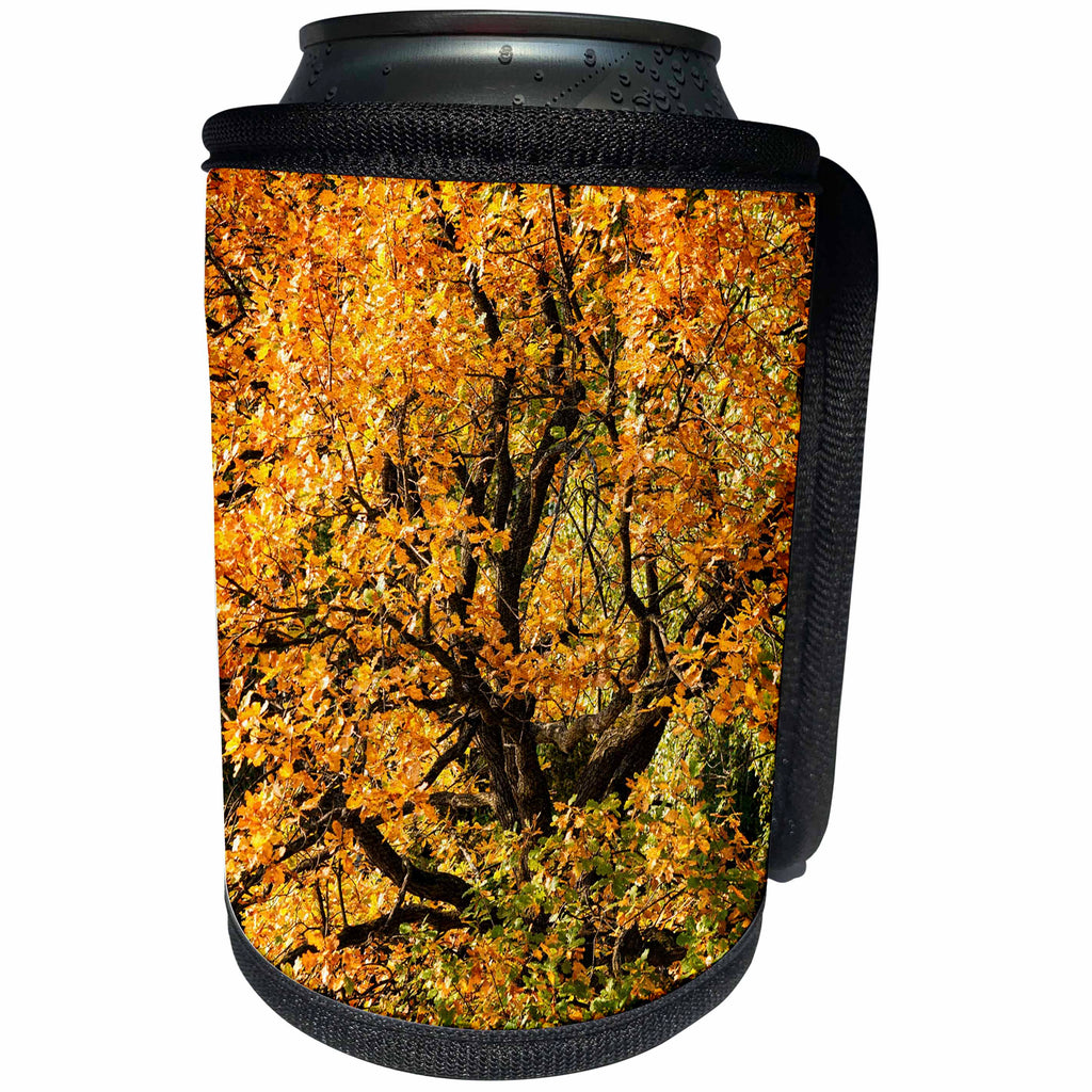 3dRose Alexis Photography - Seasons Autumn - Oak tree in the forest covered with brown leaves. Golden autumn - Can Cooler Bottle Wrap (cc_272131)