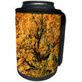 3dRose Alexis Photography - Seasons Autumn - Oak tree in the forest covered with brown leaves. Golden autumn - Can Cooler Bottle Wrap (cc_272131)