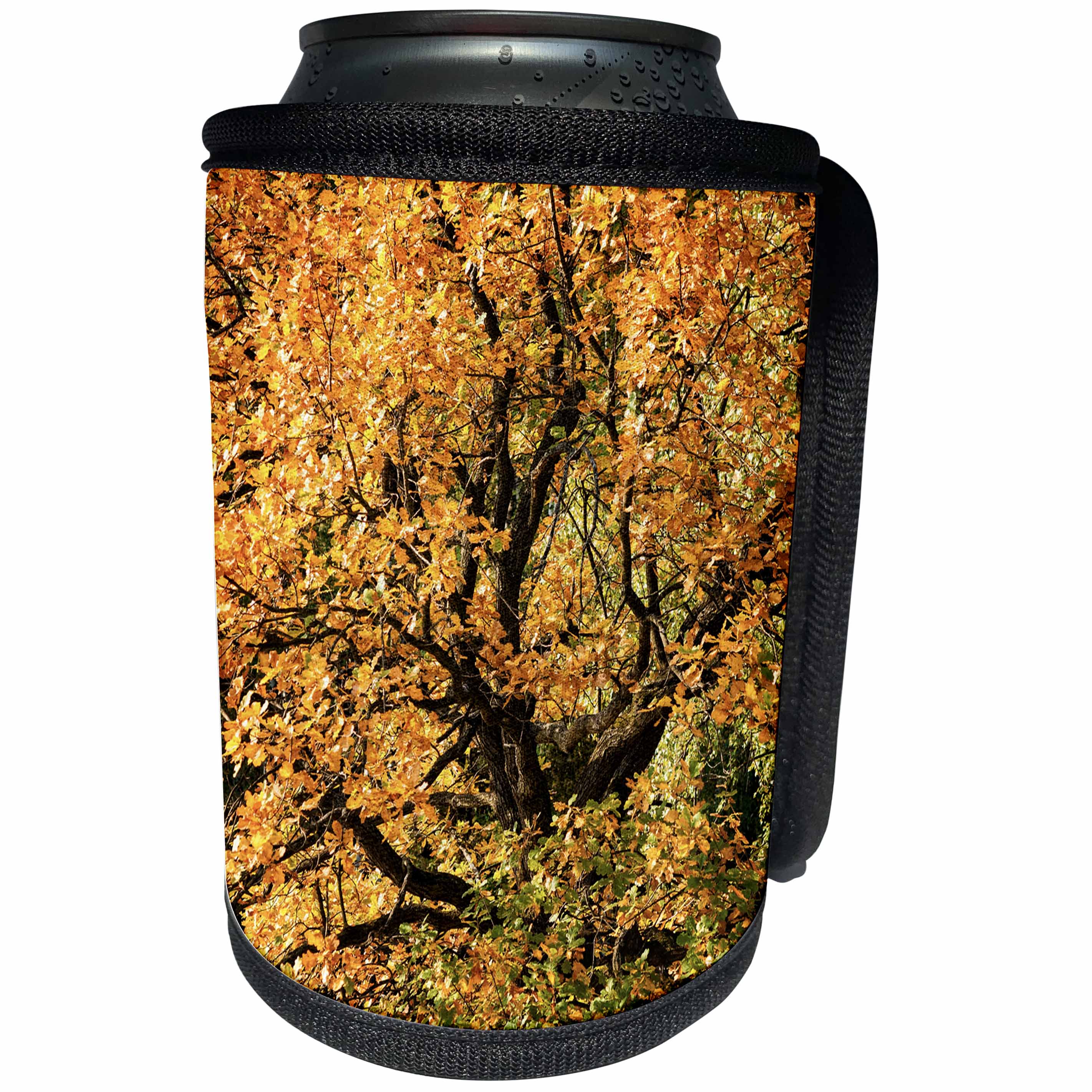 3dRose Alexis Photography - Seasons Autumn - Oak tree in the forest covered with brown leaves. Golden autumn - Can Cooler Bottle Wrap (cc_272131)