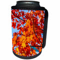 3dRose Alexis Photography - Seasons Autumn - Red oak tree in autumn. Beautiful sunlit leaves - Can Cooler Bottle Wrap (cc_272138)