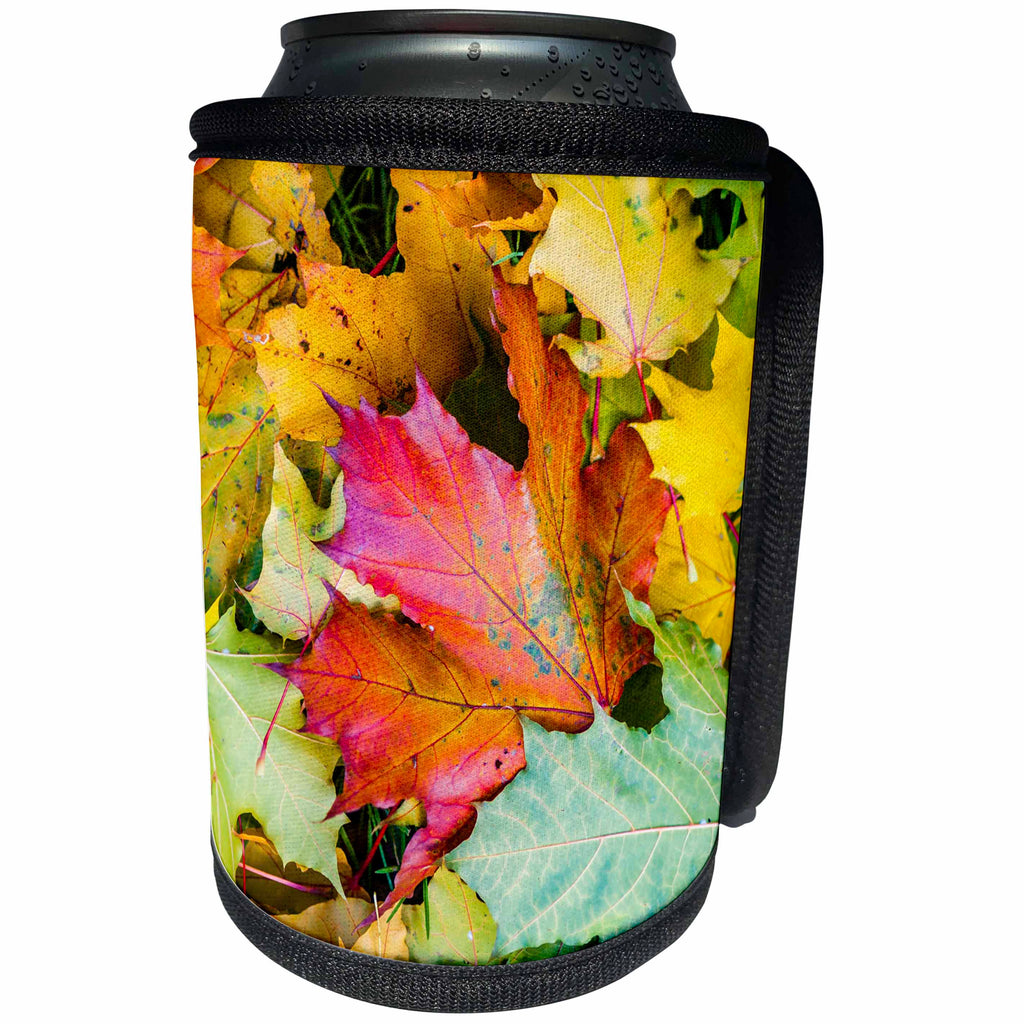 3dRose Alexis Photography - Seasons Autumn - Colorful maple leaves on the ground. Golden autumn season - Can Cooler Bottle Wrap (cc_272140)