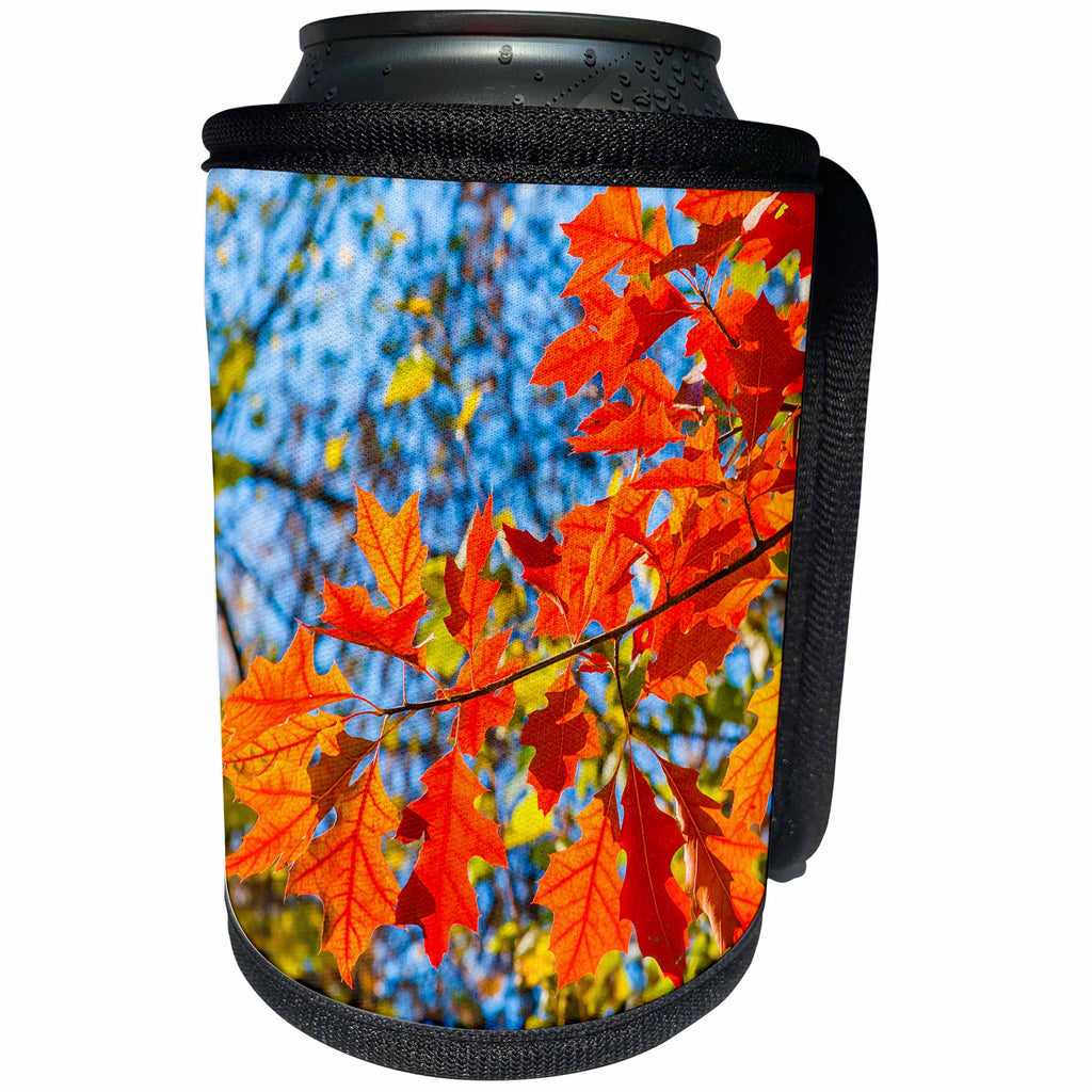 3dRose Alexis Photography - Seasons Autumn - Red oak tree leaves on a sunny autumn day - Can Cooler Bottle Wrap (cc_272143)