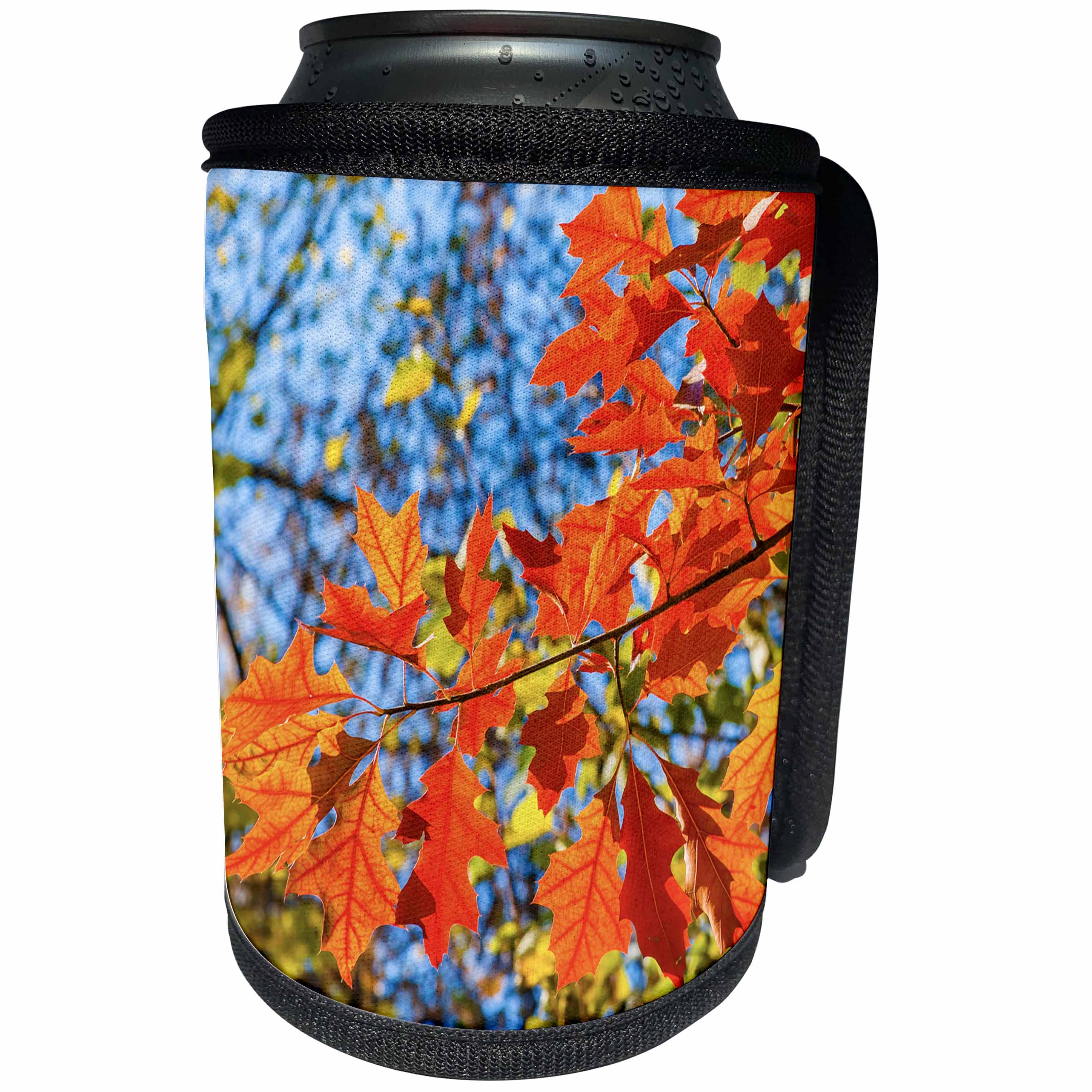 3dRose Alexis Photography - Seasons Autumn - Red oak tree leaves on a sunny autumn day - Can Cooler Bottle Wrap (cc_272143)