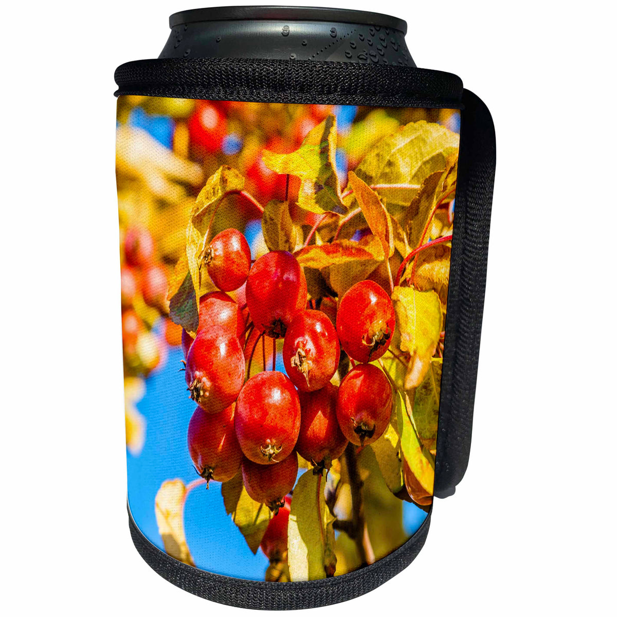 3dRose Alexis Photography - Food Crab Apple - Bunch of red crab apples, yellow leaves, blue sky - Can Cooler Bottle Wrap (cc_272174)