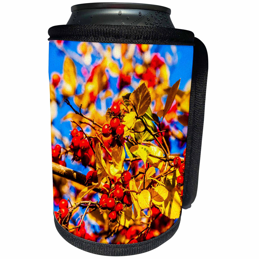 3dRose Alexis Photography - Nature Plants Hawthorn - New crop of hawthorn berries on a tree. Yellow autumn leaves - Can Cooler Bottle Wrap (cc_272186)