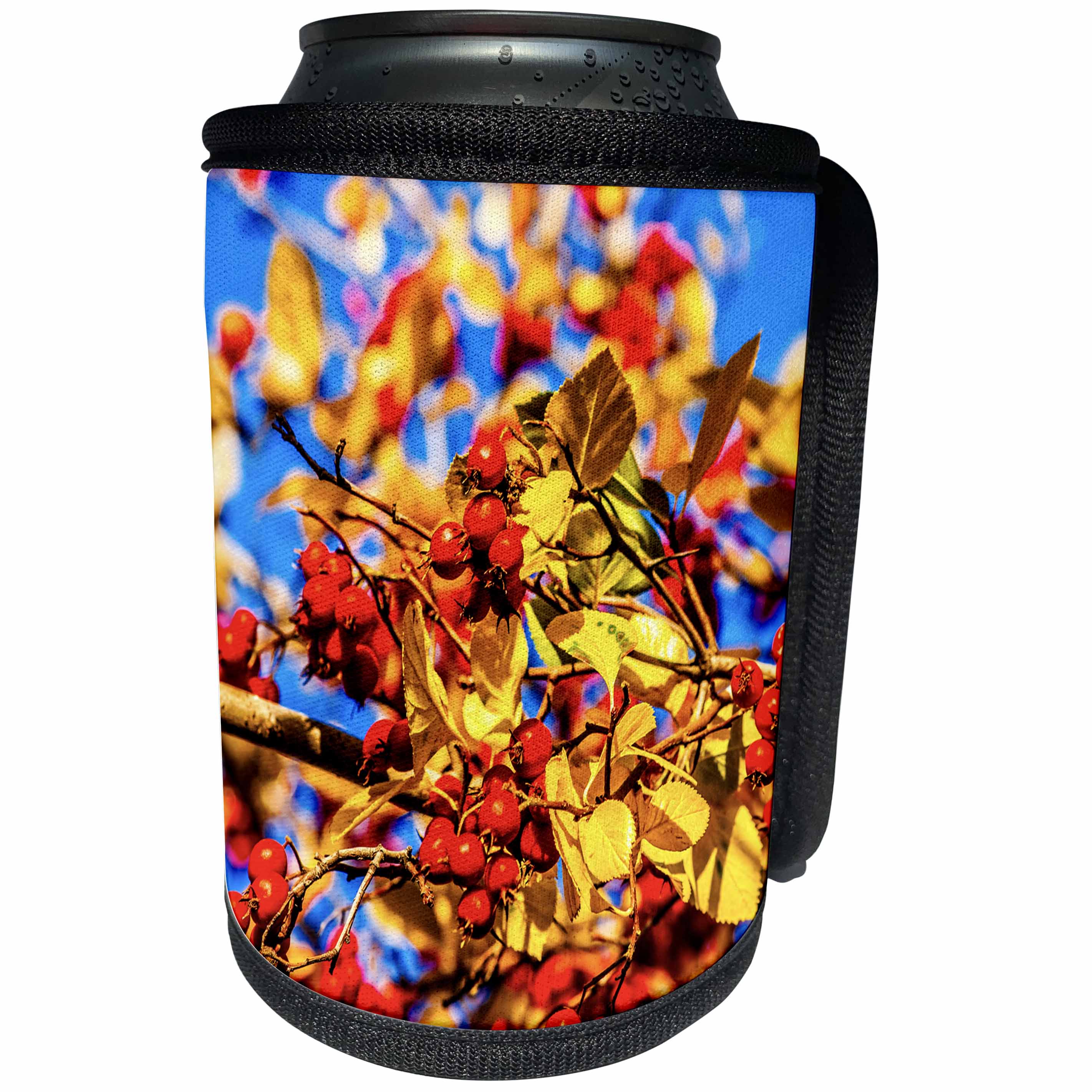 3dRose Alexis Photography - Nature Plants Hawthorn - New crop of hawthorn berries on a tree. Yellow autumn leaves - Can Cooler Bottle Wrap (cc_272186)