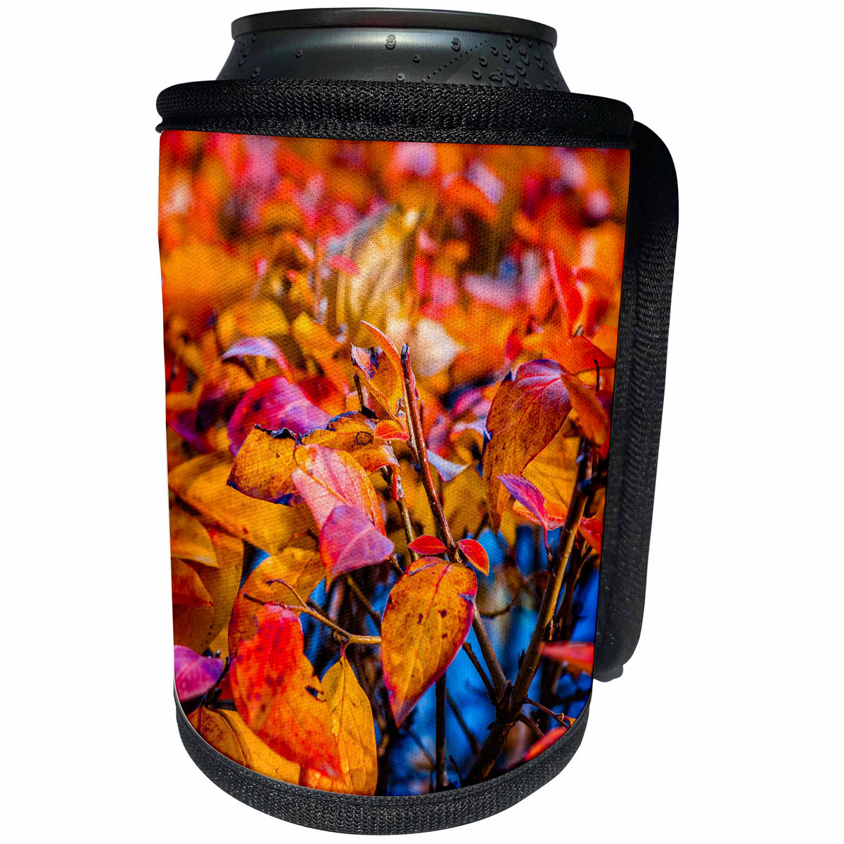 3dRose Alexis Photography - Seasons Autumn - Red and orange cotoneaster shrub leaves, dark blue background - Can Cooler Bottle Wrap (cc_272201)