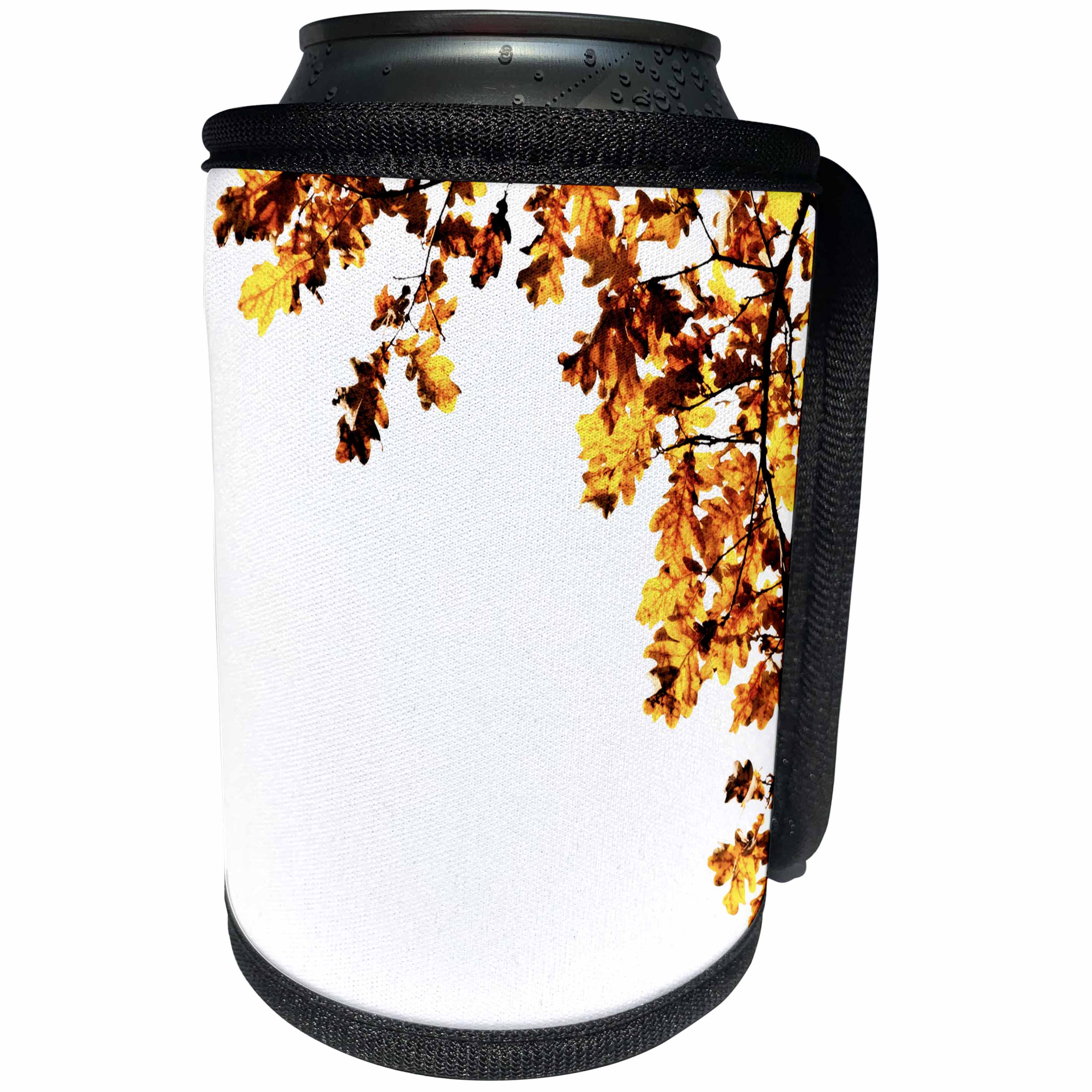 3dRose Alexis Design - Floral - Decorative frame of shining brown oak leaves, space for custom text - Can Cooler Bottle Wrap (cc_272217)