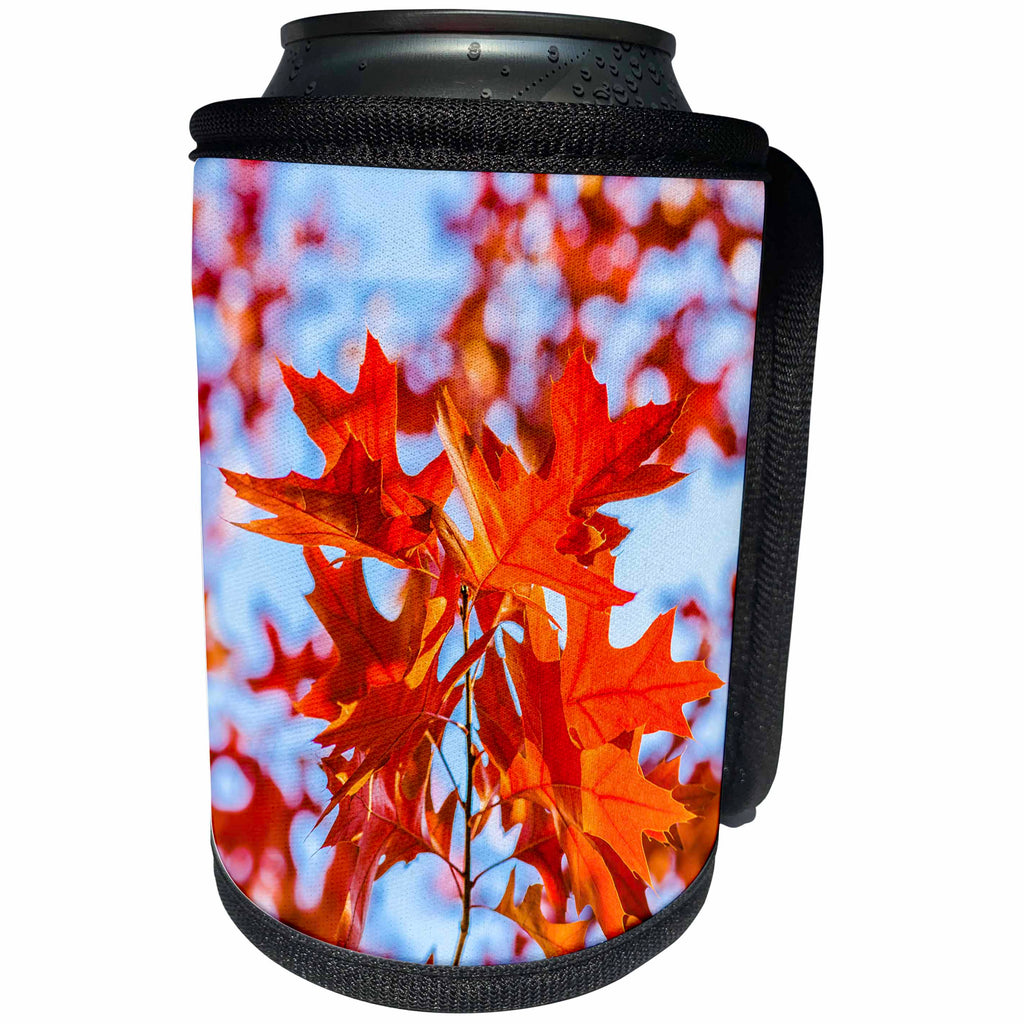 3dRose Alexis Photography - Seasons Autumn 2 - Red oak leaves, pale blue background, autumn season - Can Cooler Bottle Wrap (cc_272280)