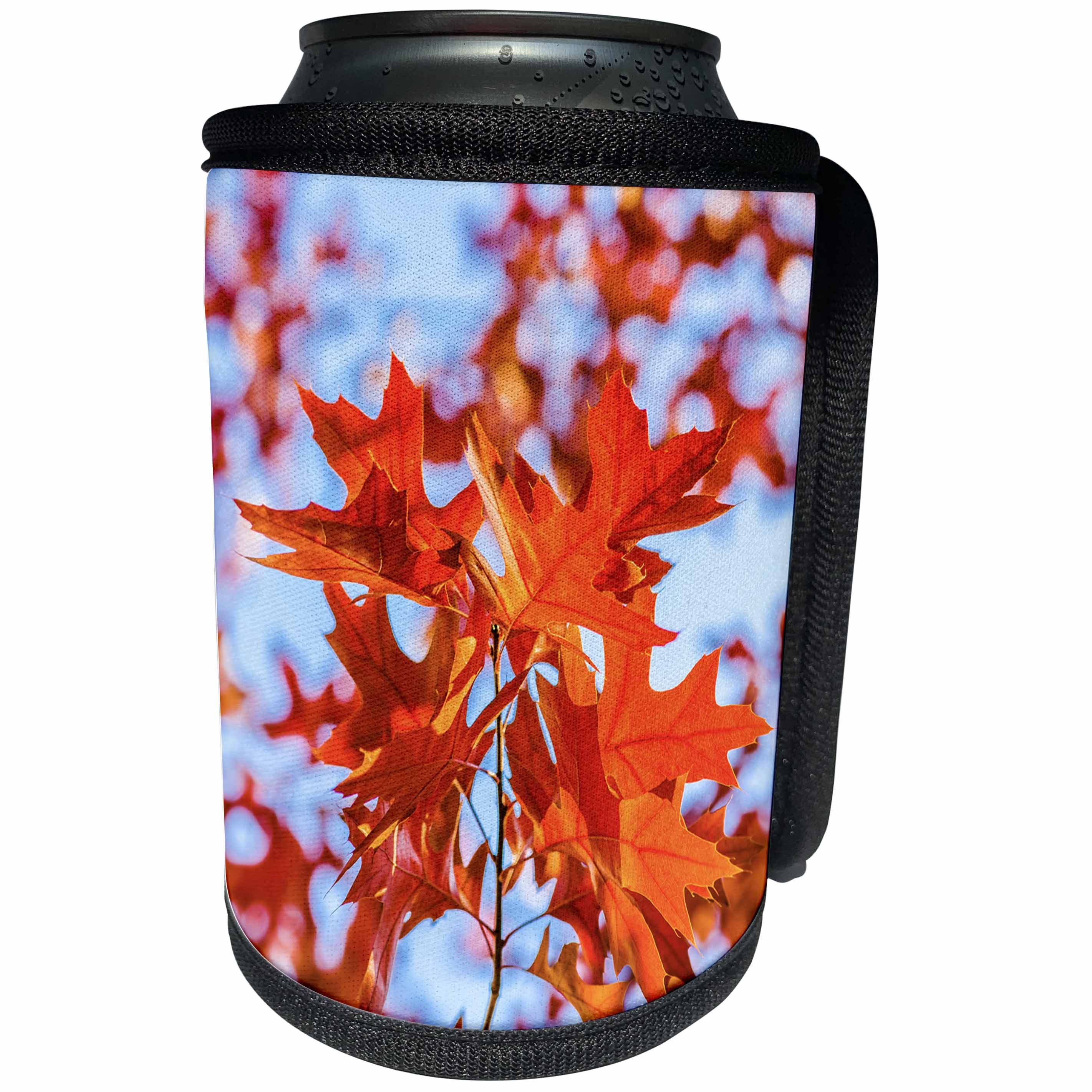 3dRose Alexis Photography - Seasons Autumn 2 - Red oak leaves, pale blue background, autumn season - Can Cooler Bottle Wrap (cc_272280)