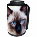 3dRose Alexis Photo-Art - Animals - Siamese cat face. Digital painting - Can Cooler Bottle Wrap (cc_272490)