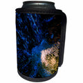 3dRose Alexis Photo-Art - Nature-Water - Bubbling water of a forest brook. Small waterfall Digital painting - Can Cooler Bottle Wrap (cc_272500)