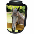 3dRose Bob Molchan Photography Animals - Horse Animals Fence Brown - Can Cooler Bottle Wrap (cc_27263)