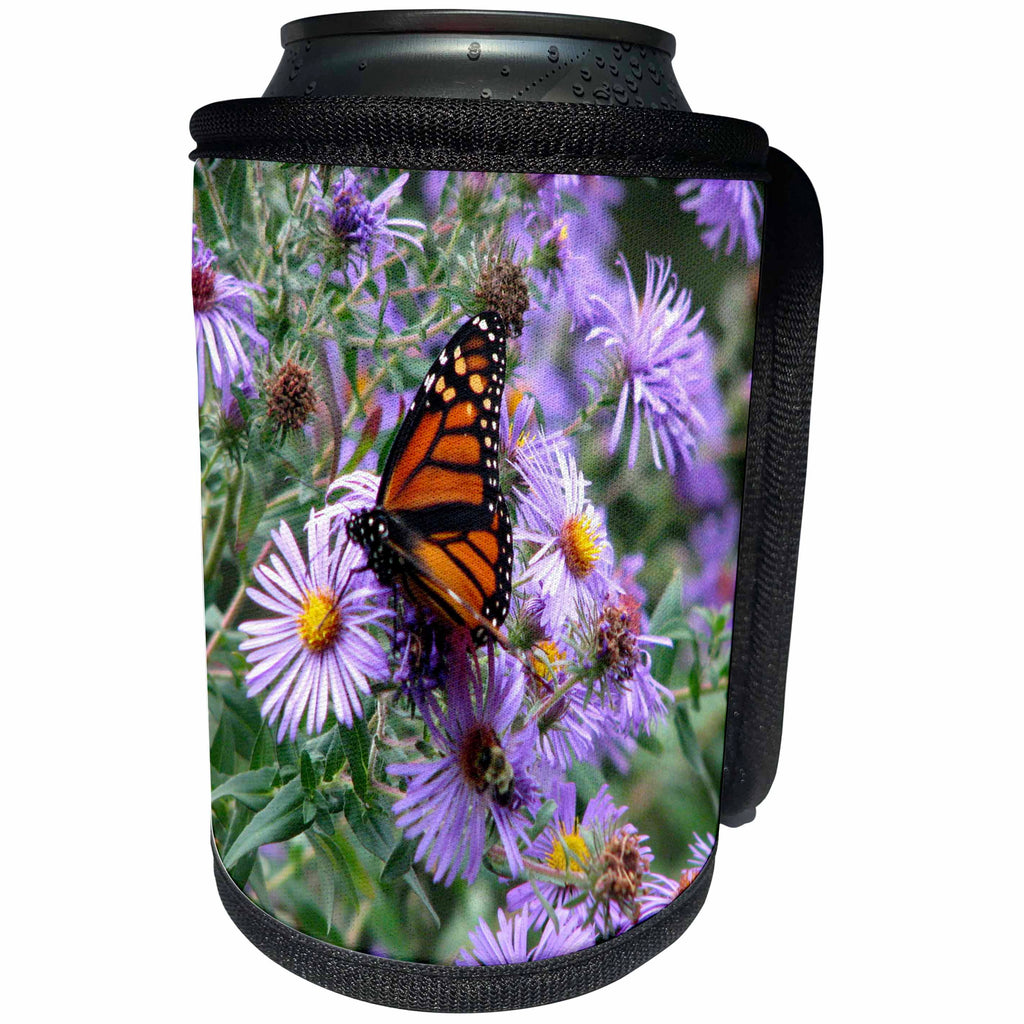 3dRose Bob Molchan Photography Nature - Butterfly Flowers Monarch Orange Purple - Can Cooler Bottle Wrap (cc_27269)