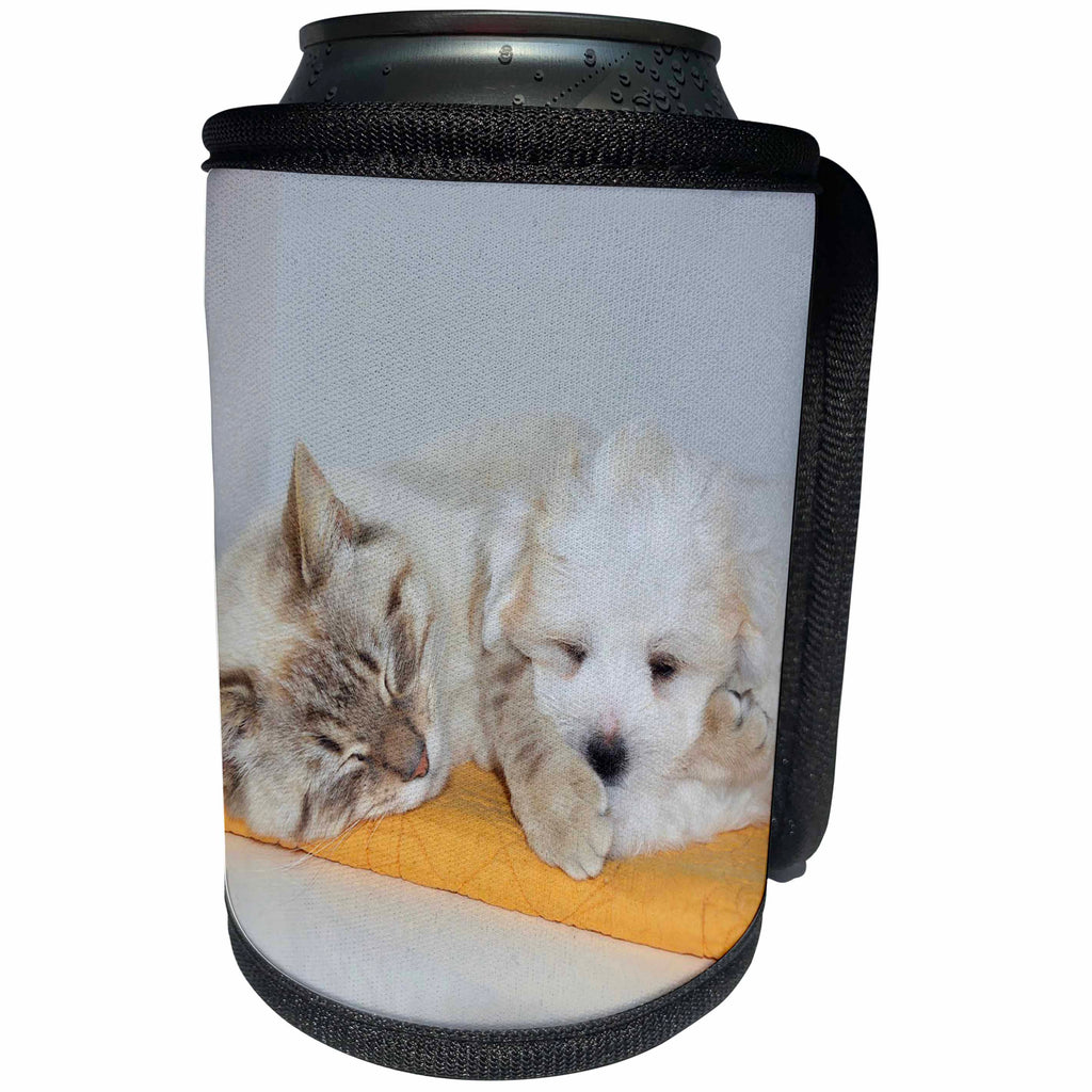 3dRose RinaPiro Dogs - Cat and Puppy sleeping. - Can Cooler Bottle Wrap (cc_272753)