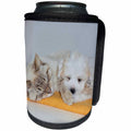 3dRose RinaPiro Dogs - Cat and Puppy sleeping. - Can Cooler Bottle Wrap (cc_272753)