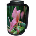 3dRose WhiteOak Photography Floral Prints - Pink Cannas Pink Flowers - Can Cooler Bottle Wrap (cc_27285)
