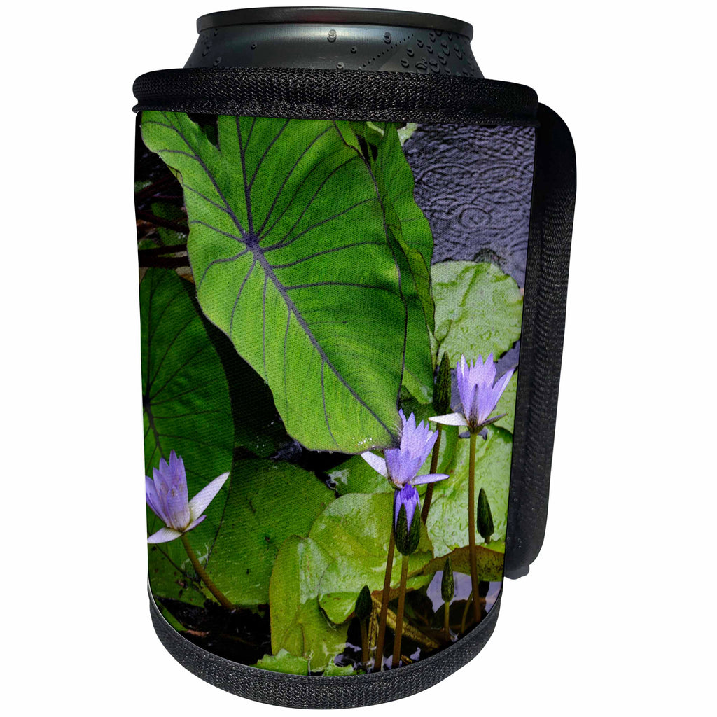 3dRose WhiteOak Photography Floral Prints - Purple Water Lily Purple Water Flowers - Can Cooler Bottle Wrap (cc_27292)