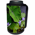 3dRose WhiteOak Photography Floral Prints - Purple Water Lily Purple Water Flowers - Can Cooler Bottle Wrap (cc_27292)