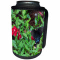 3dRose WhiteOak Photography Butterflies - Spicebush Swallowtail Butterfly A beautiful butterfly - Can Cooler Bottle Wrap (cc_27294)