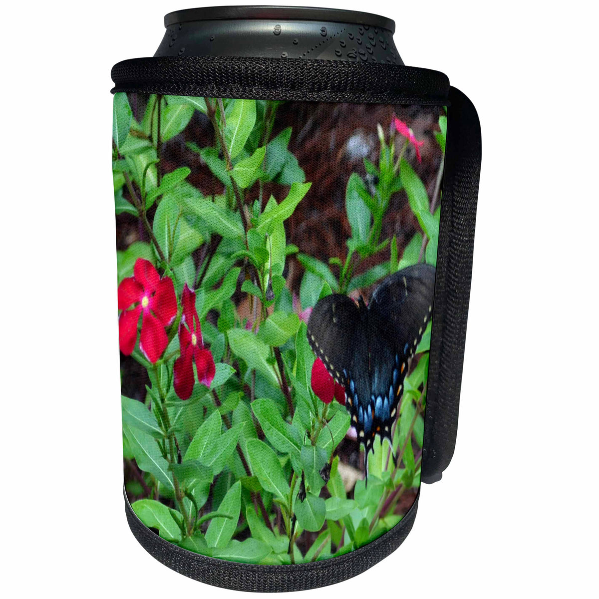 3dRose WhiteOak Photography Butterflies - Spicebush Swallowtail Butterfly A beautiful butterfly - Can Cooler Bottle Wrap (cc_27294)