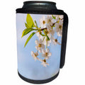 3dRose Alexis Photography - Flowers Cherry - Soft beige cherry flowers, pale blue sky - Can Cooler Bottle Wrap (cc_272961)