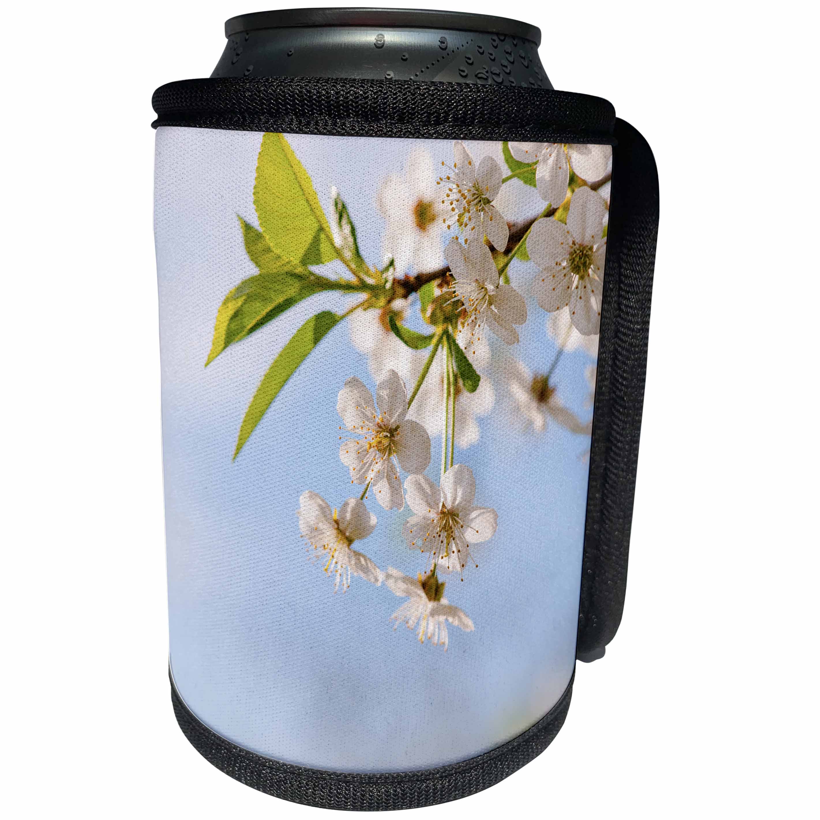 3dRose Alexis Photography - Flowers Cherry - Soft beige cherry flowers, pale blue sky - Can Cooler Bottle Wrap (cc_272961)